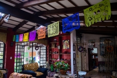 casa-flores_-207