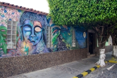 casa-flores_-213