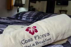 casa-flores_-58-e1729923369906